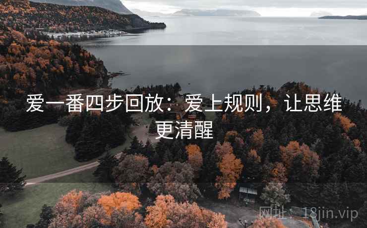 爱一番四步回放：爱上规则，让思维更清醒
