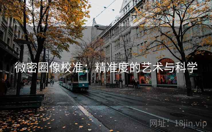 微密圈像校准：精准度的艺术与科学