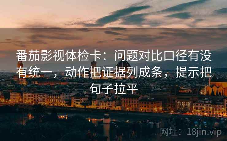 番茄影视体检卡：问题对比口径有没有统一，动作把证据列成条，提示把句子拉平