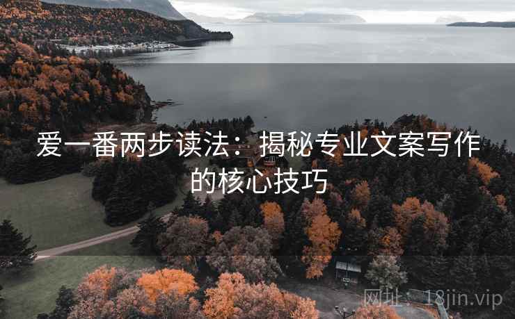 爱一番两步读法:揭秘专业文案写作的核心技巧 爱一番两步读法:揭秘专业文案写作的核心技巧