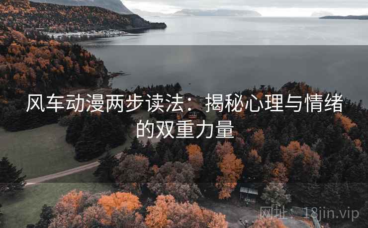 风车动漫两步读法：揭秘心理与情绪的双重力量